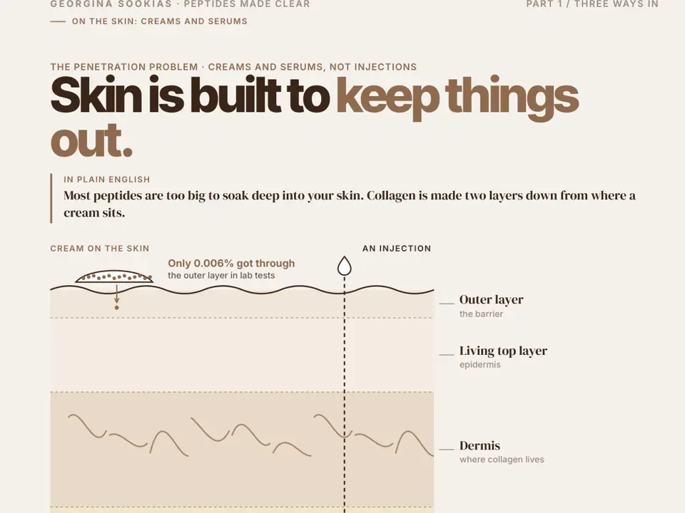 Drawing of the skin's layers showing how little of a cream gets through
