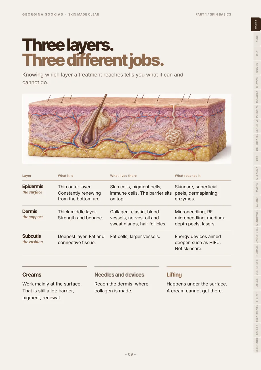 Skin cross-section illustration page explaining the epidermis, dermis and subcutis